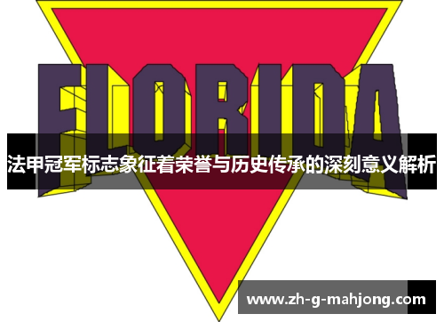 法甲冠军标志象征着荣誉与历史传承的深刻意义解析 法甲冠军标志象征着荣誉与历史传承的深刻意义解析