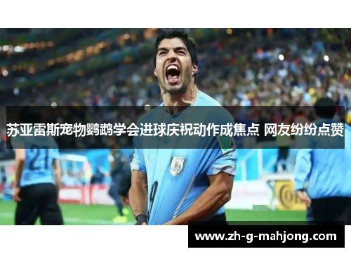 苏亚雷斯宠物鹦鹉学会进球庆祝动作成焦点 网友纷纷点赞 苏亚雷斯宠物鹦鹉学会进球庆祝动作成焦点 网友纷纷点赞