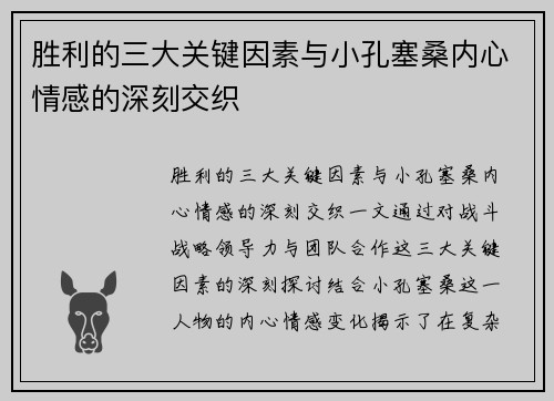 胜利的三大关键因素与小孔塞桑内心情感的深刻交织 胜利的三大关键因素与小孔塞桑内心情感的深刻交织
