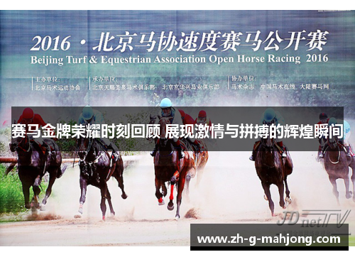 赛马金牌荣耀时刻回顾 展现激情与拼搏的辉煌瞬间