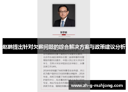 赵鹏提出针对欠薪问题的综合解决方案与政策建议分析