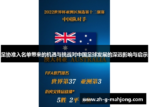 足协准入名单带来的机遇与挑战对中国足球发展的深远影响与启示