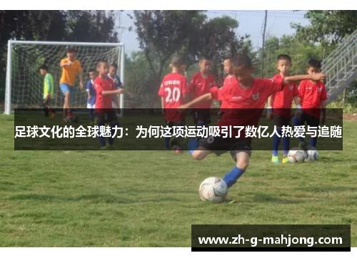 足球文化的全球魅力：为何这项运动吸引了数亿人热爱与追随