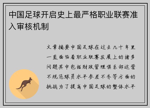 中国足球开启史上最严格职业联赛准入审核机制