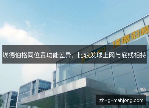 埃德伯格同位置功能差异，比较发球上网与底线相持