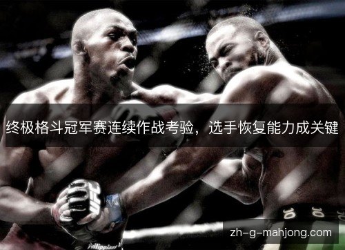 终极格斗冠军赛连续作战考验,选手恢复能力成关键 终极格斗冠军赛连续作战考验,选手恢复能力成关键